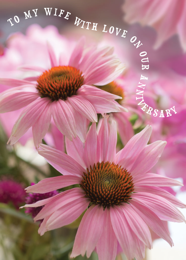 Wife Anniversary Card - Pink Echinacea