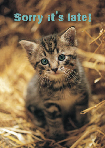 Belated Birthday Card - Kitten In Straw - Leonard Smith
