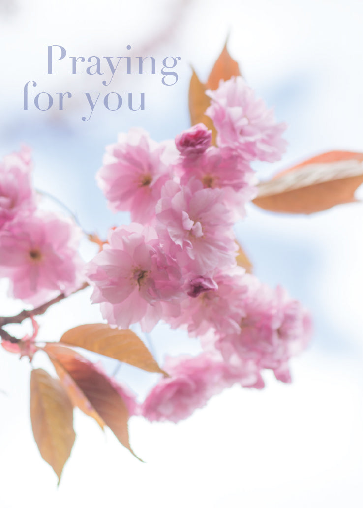 Praying for You Card - Pink Cherry Blossom