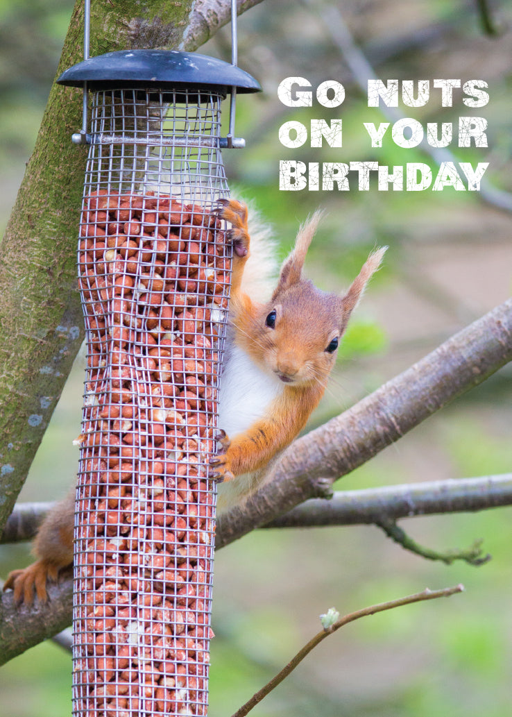 Birthday Card - Red Squirrel - Leonard Smith
