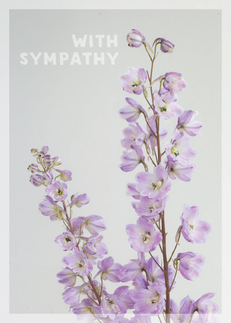 Sympathy Card - Light Pink Delphinium