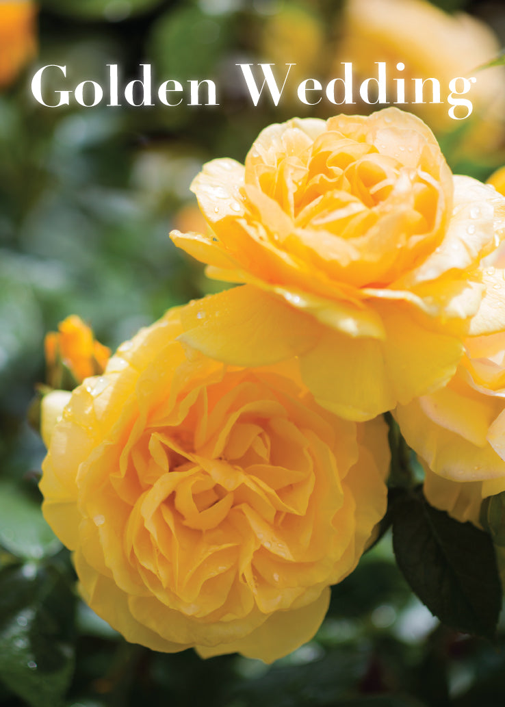 Golden Anniversary Card - Golden Roses