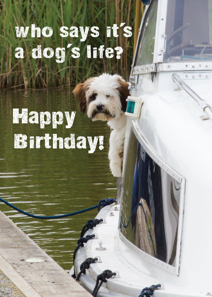 Birthday Card - Small Dog On Boat - Leonard Smith