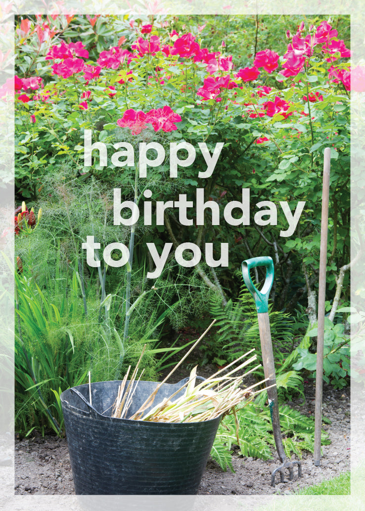 Birthday Card - Rose Bed Gardening - Leonard Smith
