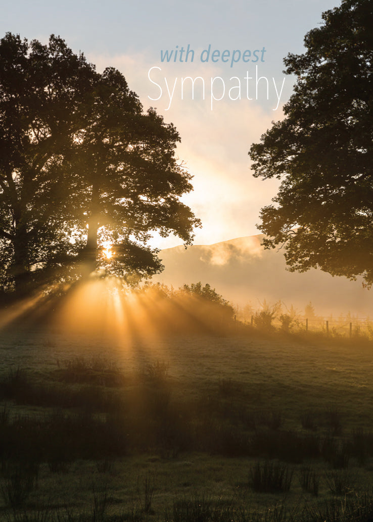Sympathy Card - Dawn Sunlight Near Trees