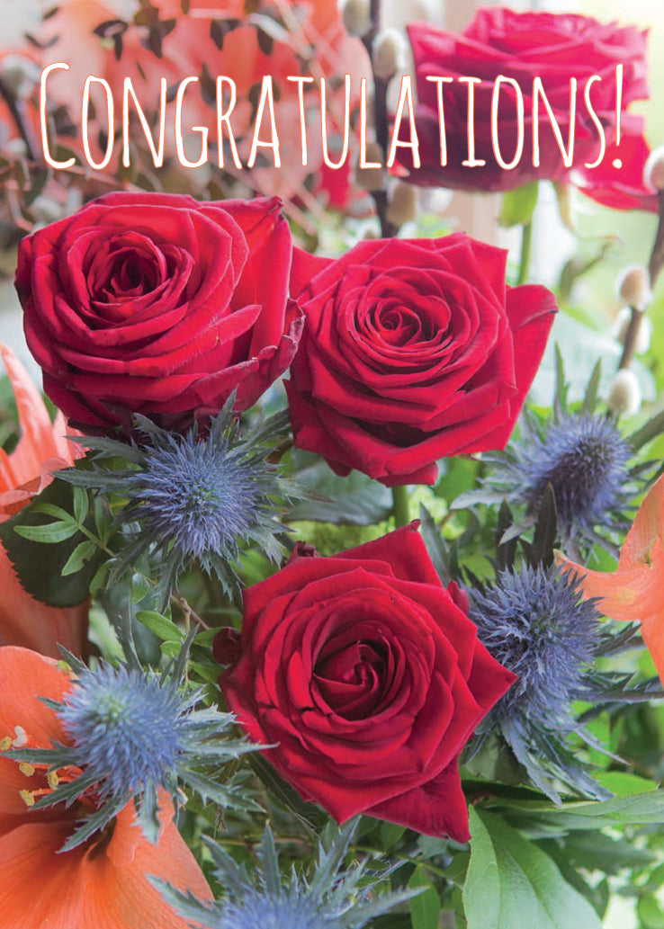 Congratulations Card - Red Rose Display