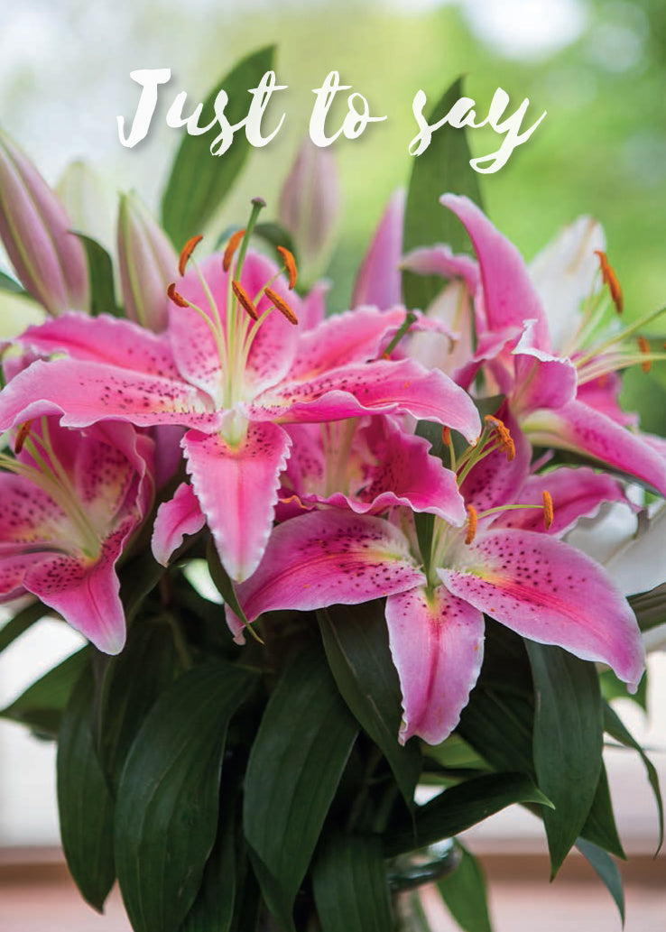 Just to Say Card - Stargazer Lilies