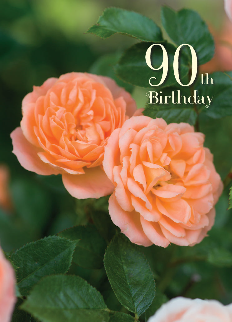 Age 90 Card - Elegant Peach Roses - Leonard Smith