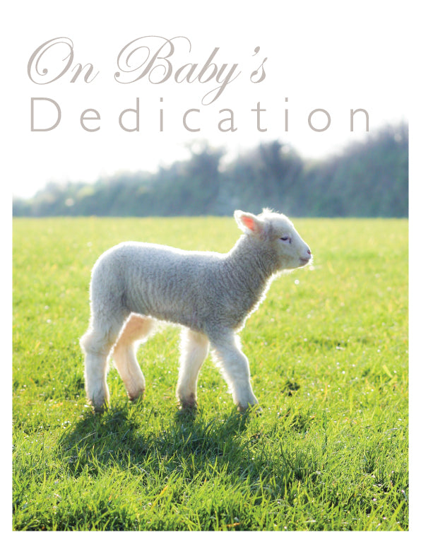Dedication Card - Lamb In Meadow