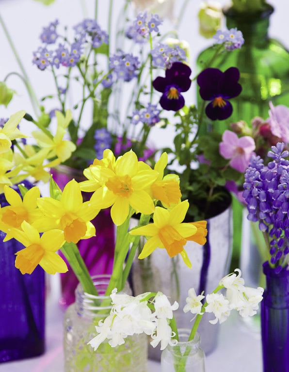 Blank Card - Bottles With Spring Flowers