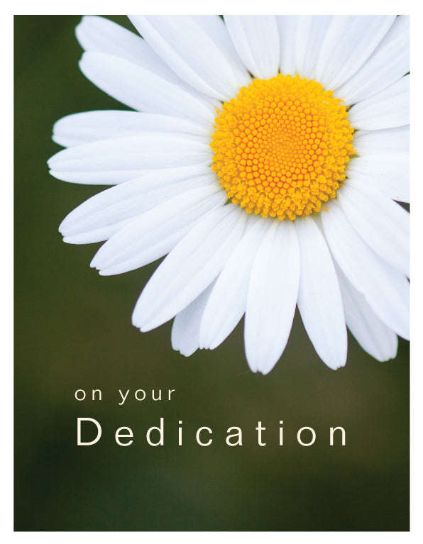 Dedication Card - Close Up Daisy