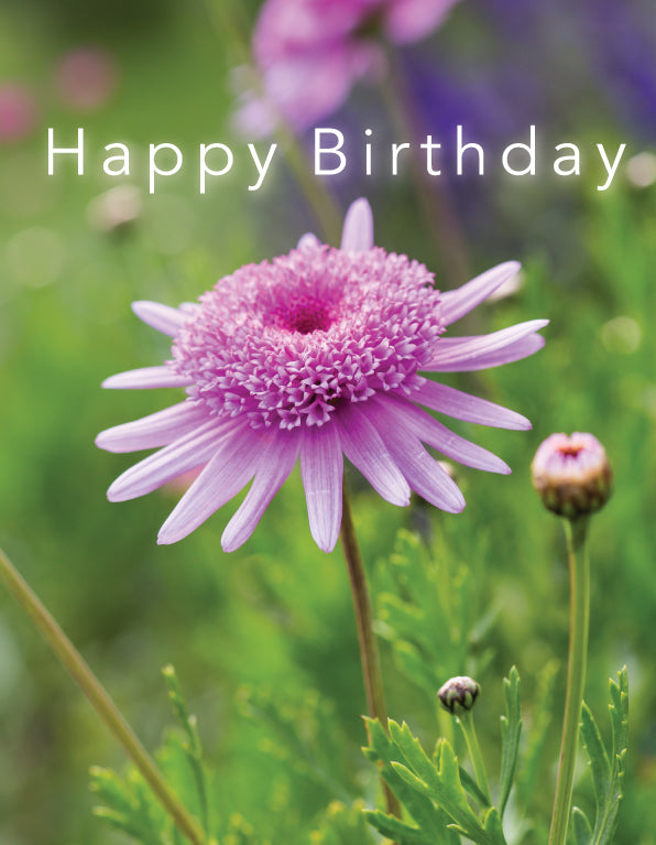 Birthday Card - Pink Flower - Leonard Smith