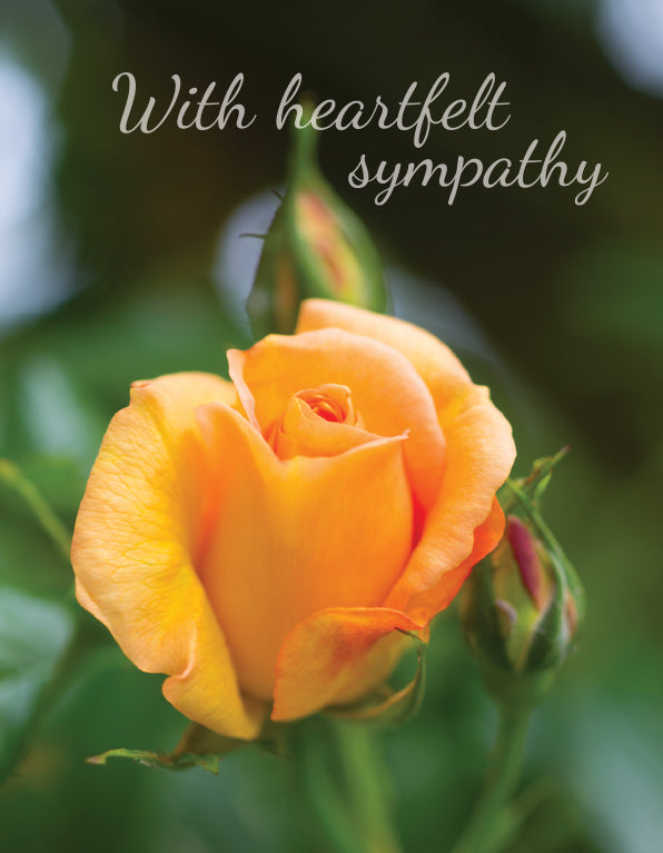 Sympathy Card - Orange Rose Bloom