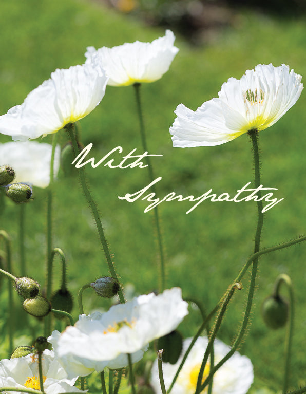Sympathy Card - White Poppies