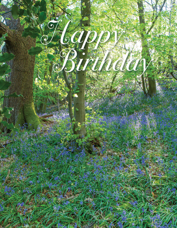 Birthday Card - Bluebell Woods - Leonard Smith