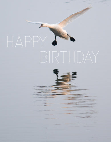 Birthday Card - Swan Landing - Leonard Smith