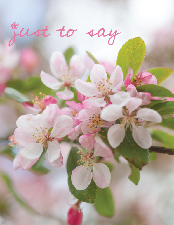Just to Say Card - Apple Blossom