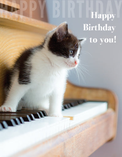 Birthday Card - Kitten On Piano - Leonard Smith