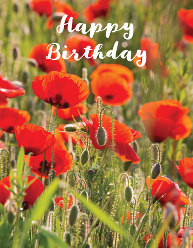 Birthday Card - Poppies - Leonard Smith