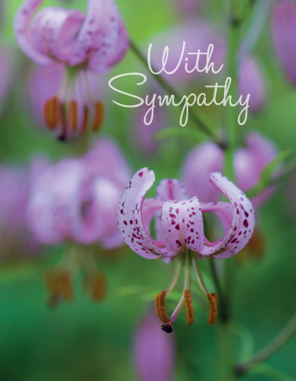 Sympathy Card - Pink Lilies