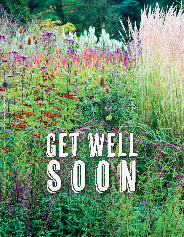 Get Well Card - Border RHS Harlow Carr