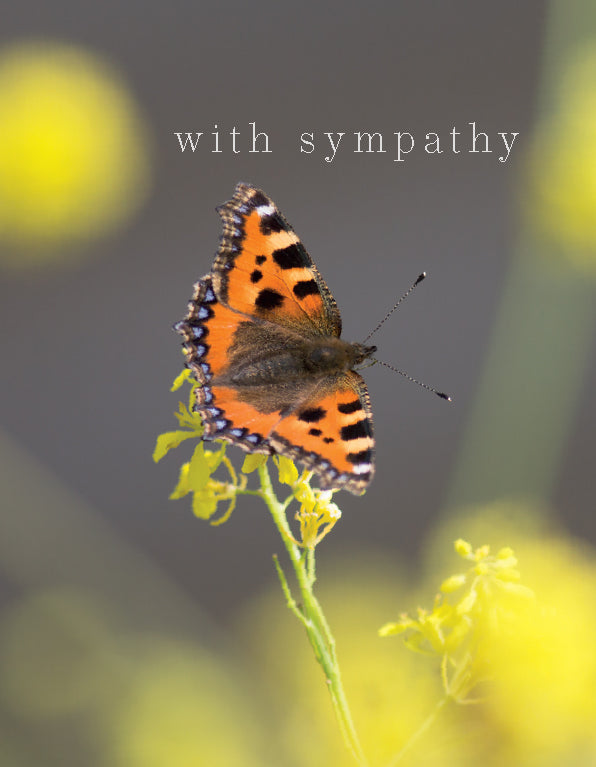 Sympathy Card - Tortoiseshell Butterfly