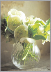 Blank Card - Hellebore In Glass Vase