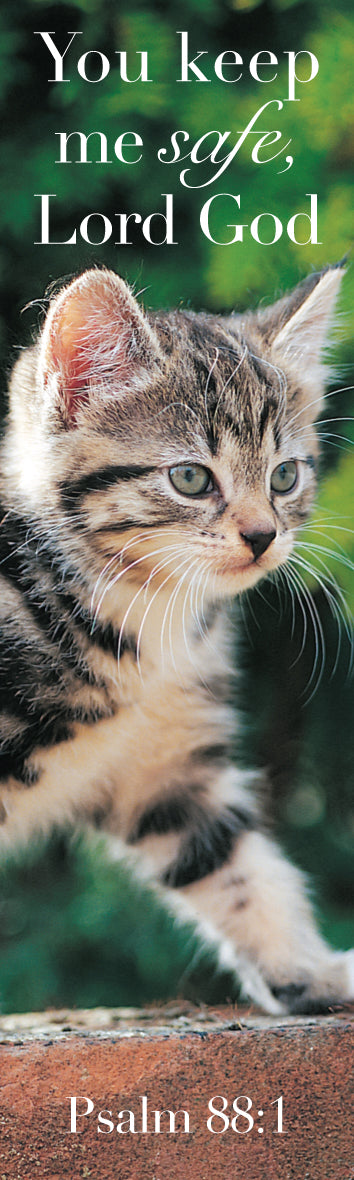 Card Bookmark - Tabby Kitten