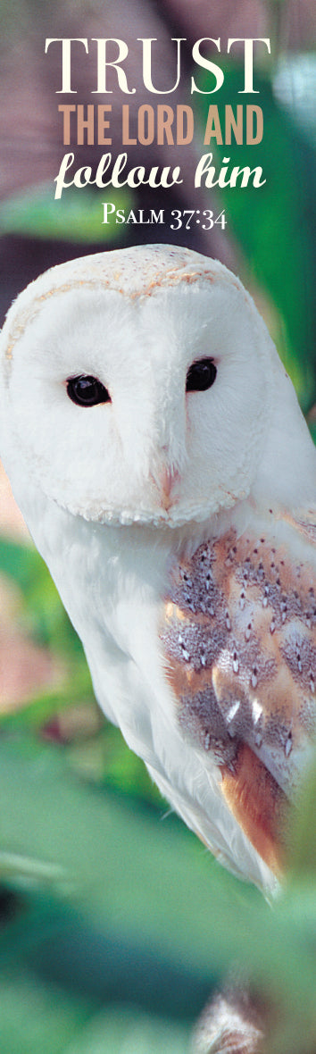 Card Bookmark - Barn Owl