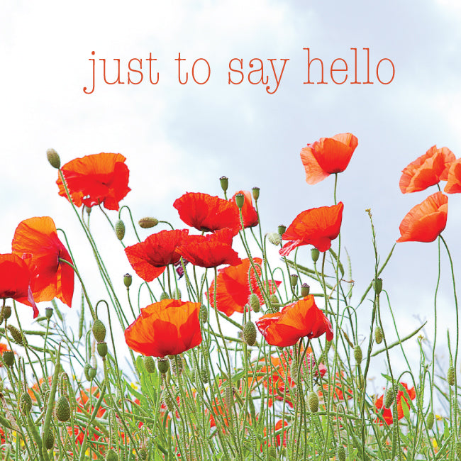 Photonotes Notecards - Red Poppies (pack of 5)