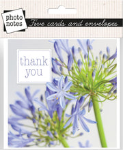 Load image into Gallery viewer, Photonotes Notecards - Agapanthus Heads (pack of 5)
