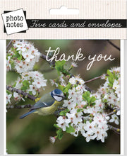 Load image into Gallery viewer, Photonotes Notecards - Bluetit In Blossom (pack of 5)
