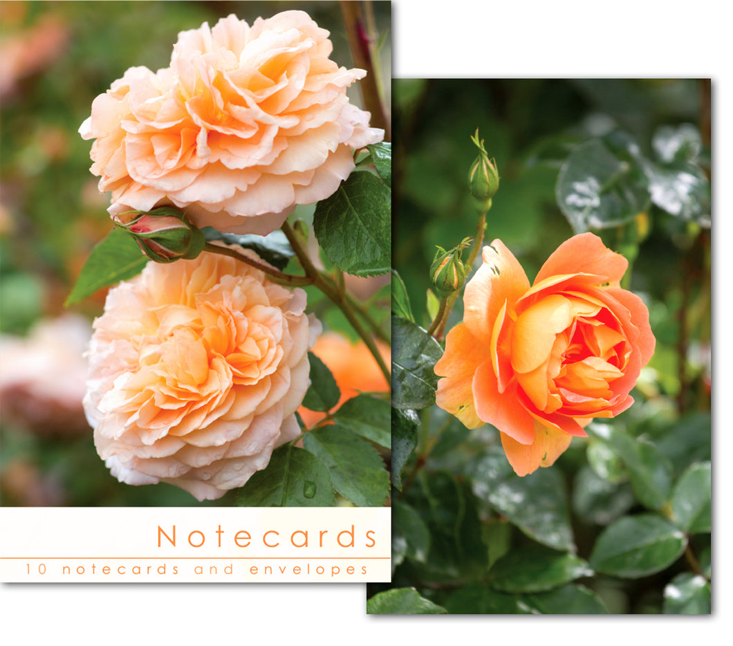 Notecard Wallet - Rose Blooms (10 cards)