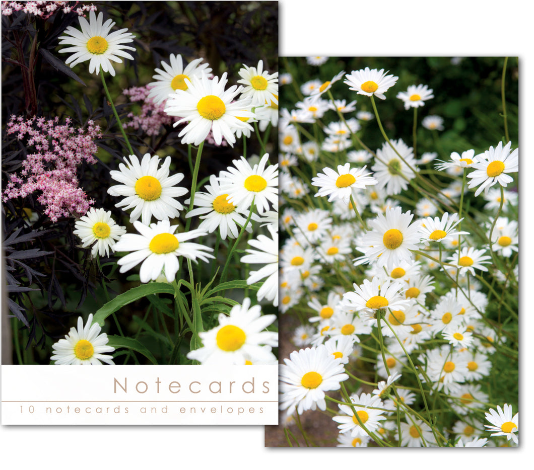 Notecard Wallet - Daisies/Elder (10 cards)