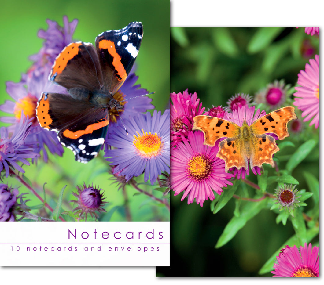 Notecard Wallet - Butterflies (10 cards)