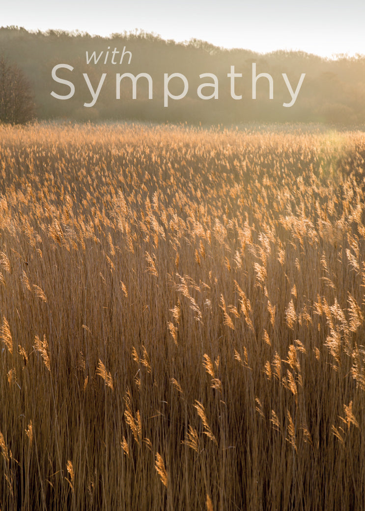 Sympathy Card - Reedbed at Minsmere