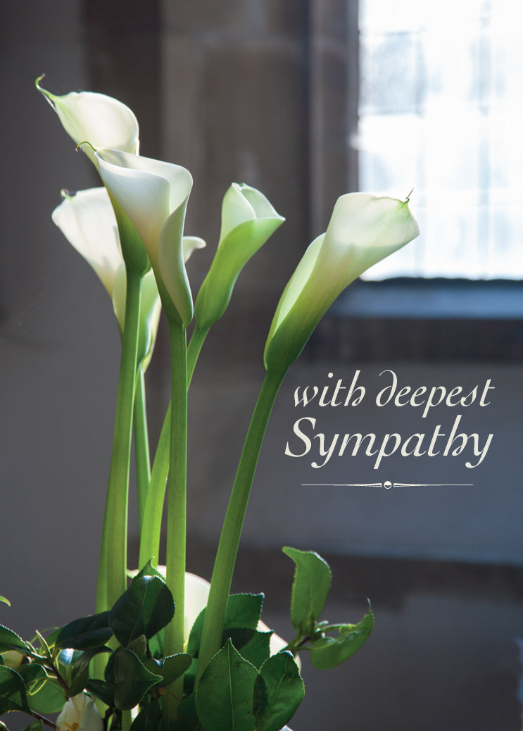 Sympathy Card - Arum Lilies