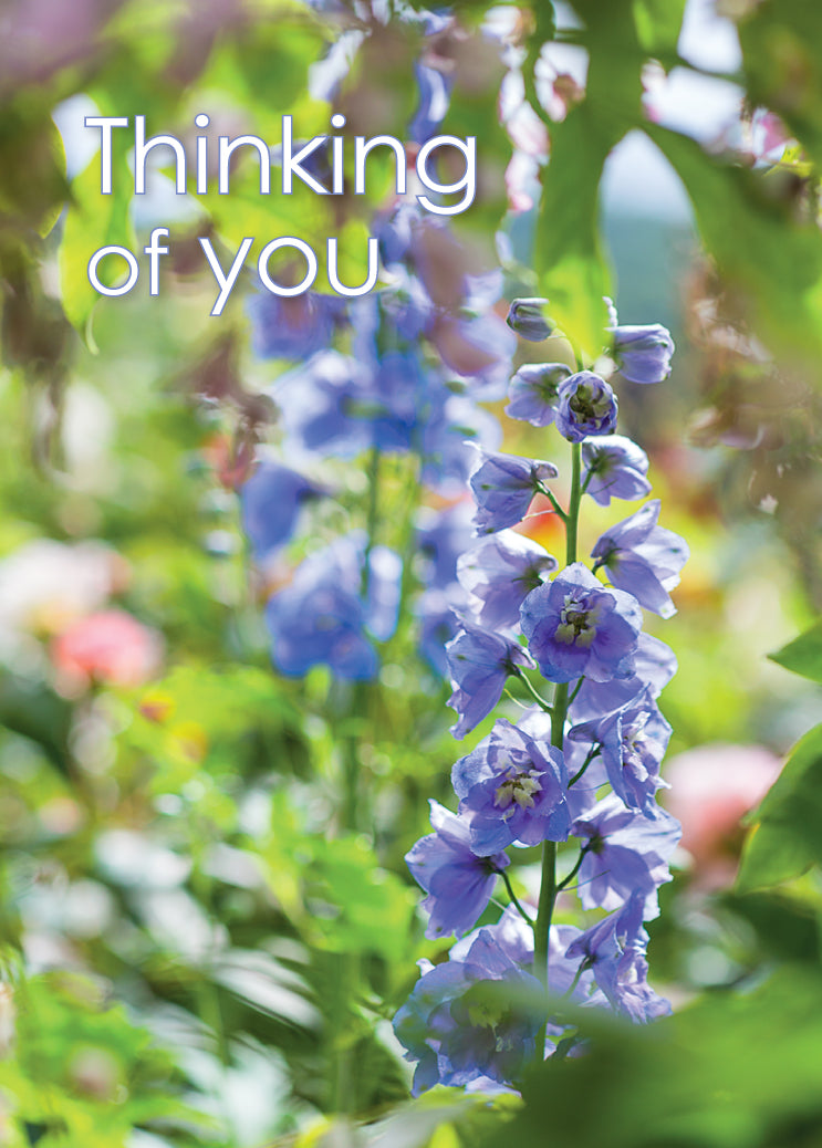 Thinking of You Card - Blue Delphinium
