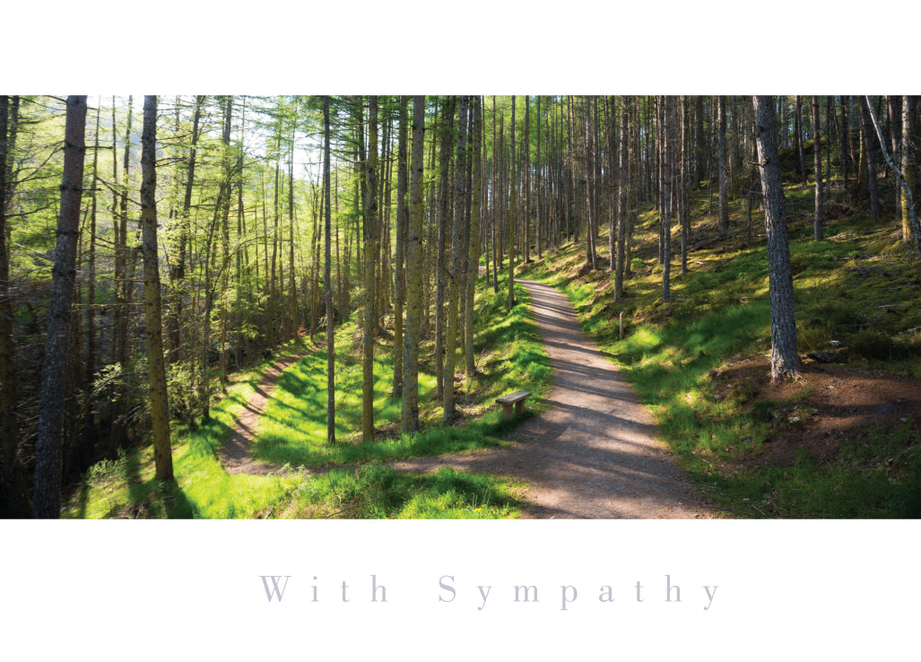 Sympathy Card - Woodland Paths
