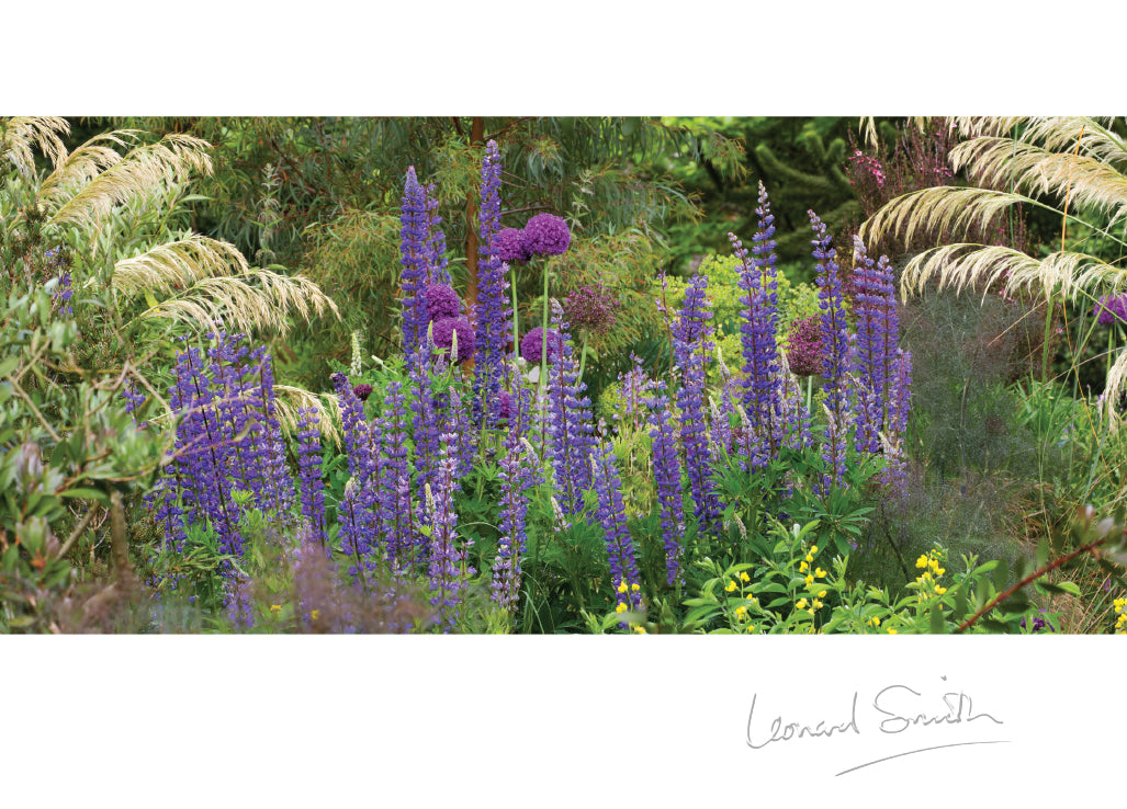 Blank Card - Herbaceous Border