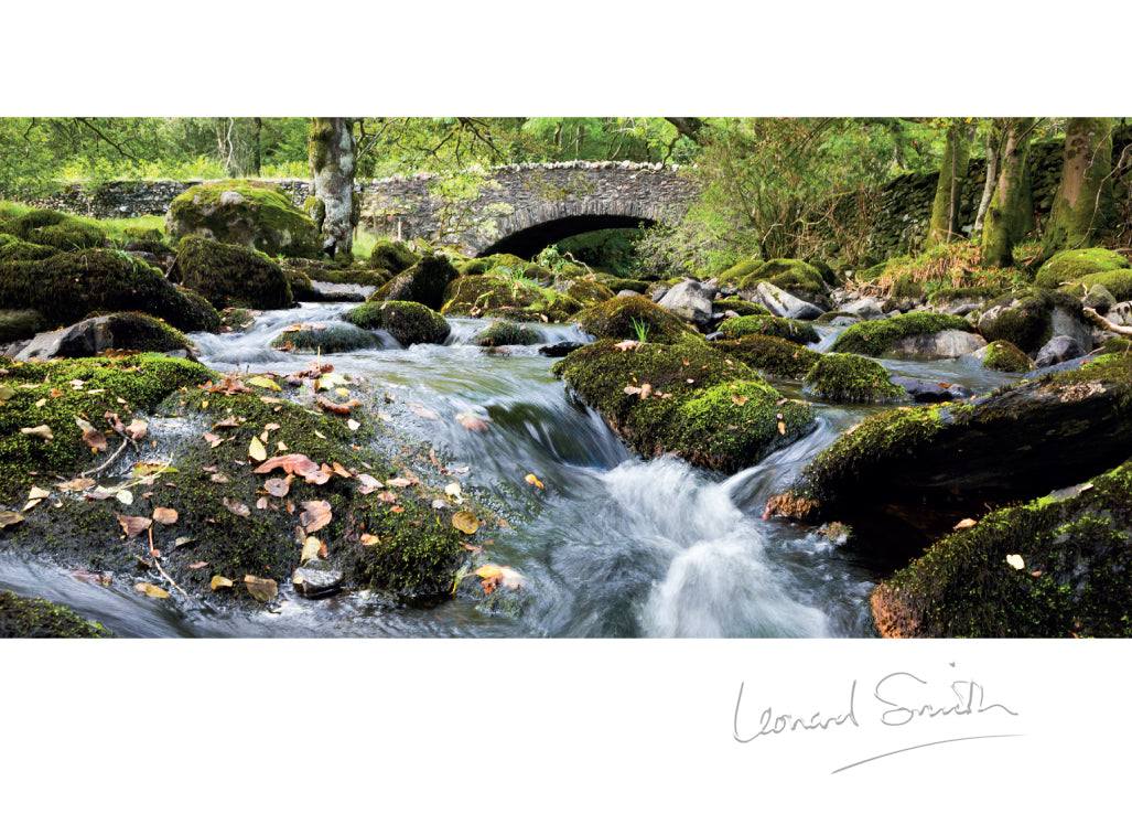 Blank Card - Rushing Stream