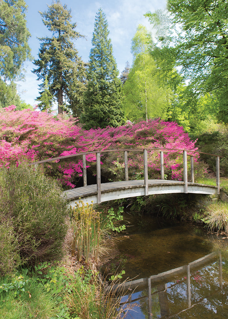 Blank Card - Garden Bridge