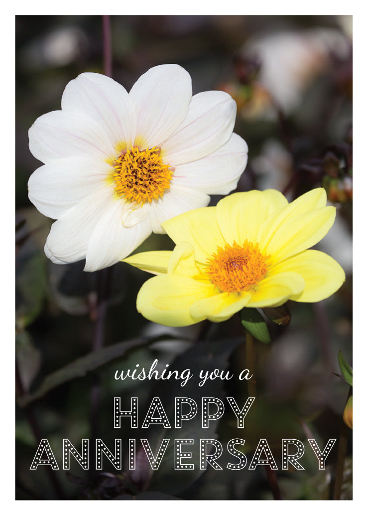 Anniversary Card - White/Yellow Dahlias