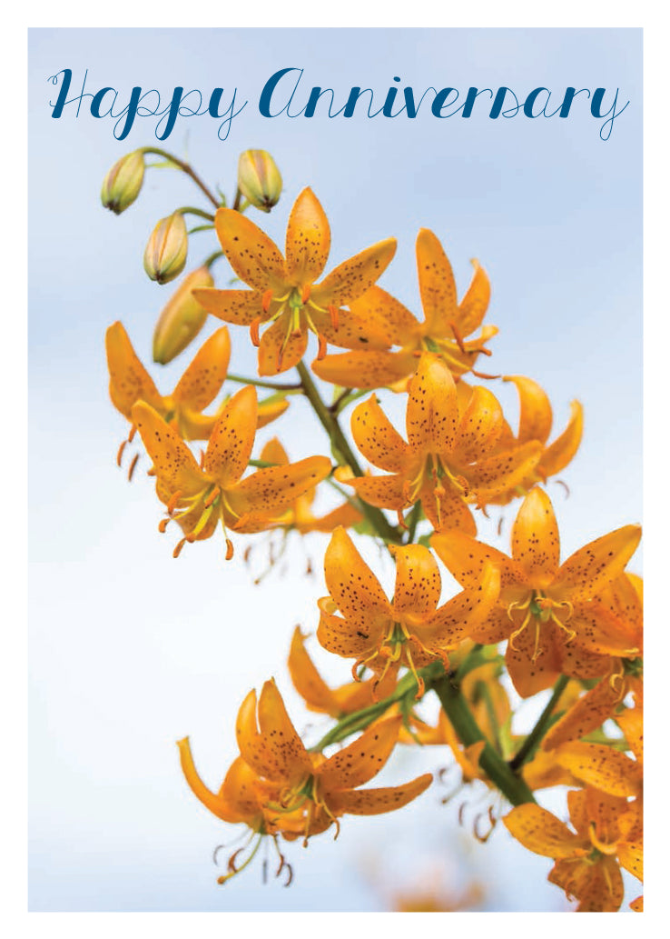 Anniversary Card - Orange Lily Stem
