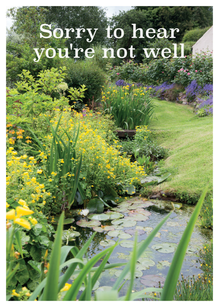 Get Well Card - The Garden Pond