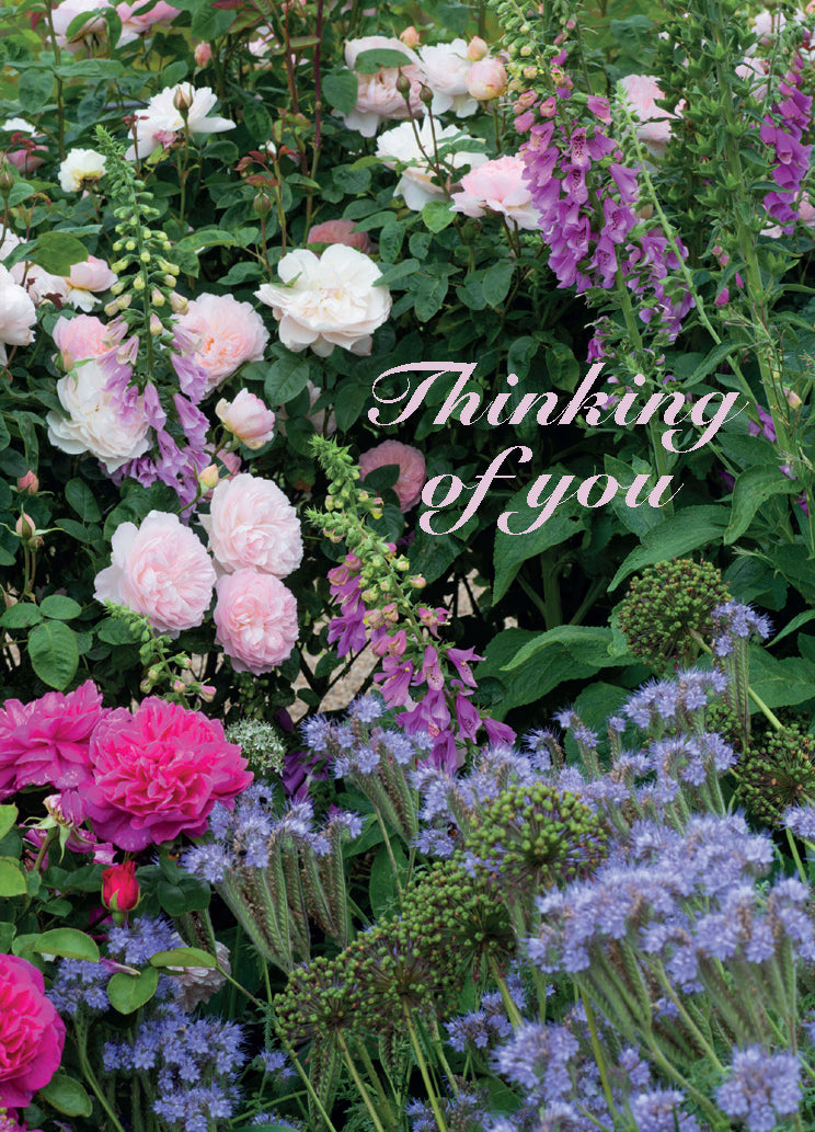 Thinking of You Card - Summer Flower Border