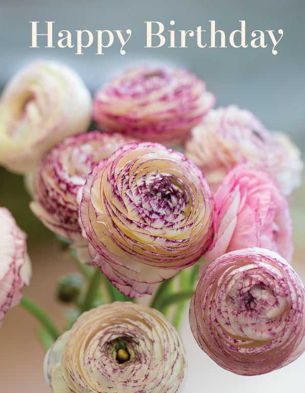 Birthday Card - Pink Ranunculi