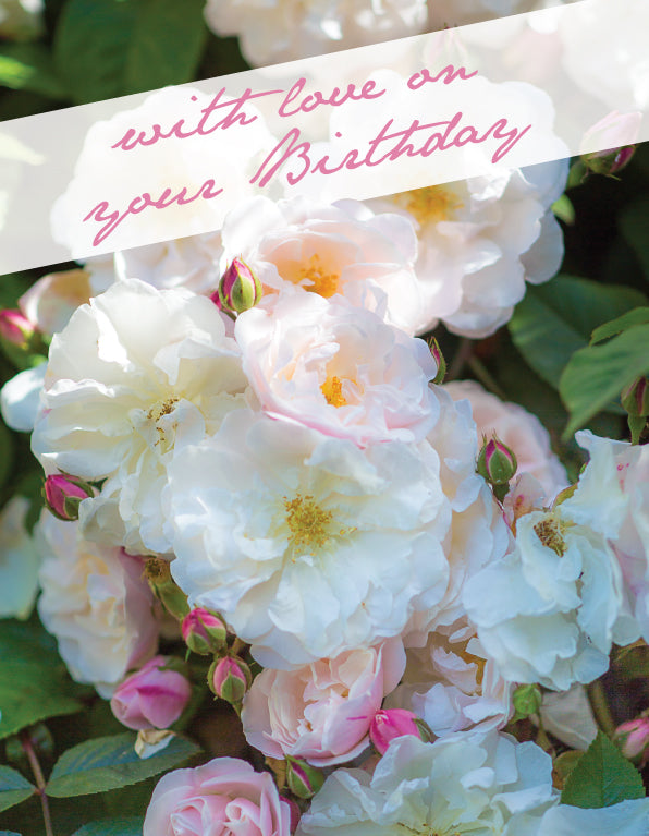 Birthday Card - Small White Rose Blooms