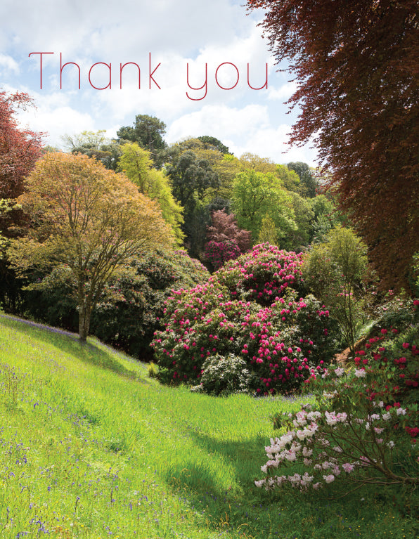 Thank You Card - Aboretum View