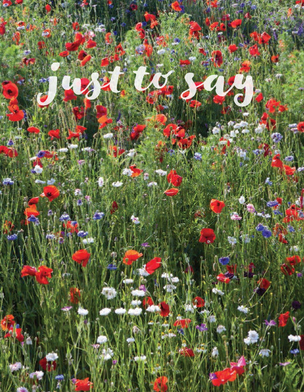 Just to Say Card - Summer Wild Flowers